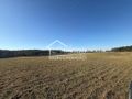 Działka budowlana 1551&nbsp;m², Buk - zdjęcie 1