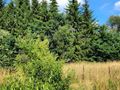 Dom 72,86 m², Banie Mazurskie, 1 Maja - zdjęcie 5