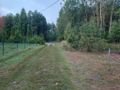 Działka rekreacyjna 300 m², Święta Anna - zdjęcie 1