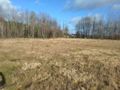 Działka budowlana 4,00 ha, Koniecpol - zdjęcie 3