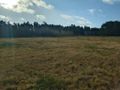 Działka budowlana 4,00 ha, Koniecpol - zdjęcie 2