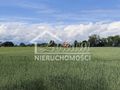Działka budowlana 1195&nbsp;m², Żarnowo - zdjęcie 6