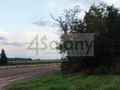 Działka budowlana 4796&nbsp;m², Szadkówek - zdjęcie 2