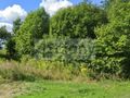 Działka budowlana 4796&nbsp;m², Szadkówek - zdjęcie 1