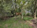 Działka budowlana 1590 m², Wrocław, Sarnia - zdjęcie 3