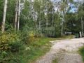 Działka rolna 4511 m², Wycinki Osowskie - zdjęcie 2