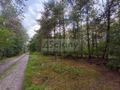 Działka rolna 4511 m², Wycinki Osowskie - zdjęcie 5