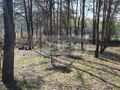 Działka budowlana 4462&nbsp;m², Orzeszyn - zdjęcie 1