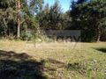 Działka budowlana 4462&nbsp;m², Orzeszyn - zdjęcie 3