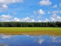 Działka budowlana 900&nbsp;m², Bielawa - zdjęcie 4