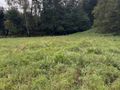 Działka budowlana 2510&nbsp;m², Skrzyszów - zdjęcie 1