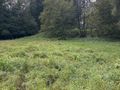 Działka budowlana 2510&nbsp;m², Skrzyszów - zdjęcie 6