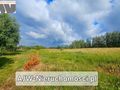 Wojcieszyn, Zalesie 1500 m2 - zdjęcie 1