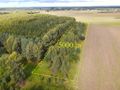 Działka rolna 5000&nbsp;m², Białogórzyno - zdjęcie 2