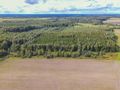 Działka rolna 5000&nbsp;m², Białogórzyno - zdjęcie 5