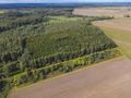 Działka rolna 5000&nbsp;m², Białogórzyno - zdjęcie 6