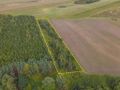 Działka rolna 5000&nbsp;m², Białogórzyno - zdjęcie 3