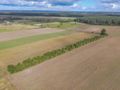 Działka rolna 5000&nbsp;m², Białogórzyno - zdjęcie 4