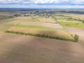 Działka rolna 5000&nbsp;m², Białogórzyno - zdjęcie 5