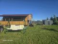Działka budowlana 1650&nbsp;m², Koziki, Cicha - zdjęcie 6