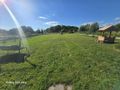 Działka budowlana 1650&nbsp;m², Koziki, Cicha - zdjęcie 2