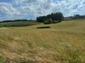 Działka budowlana 1011 m², Borzestowska Huta - zdjęcie 3