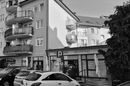 Zdjęcie ogłoszenia -  1