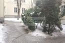 Zdjęcie ogłoszenia -  