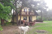 Zdjęcie ogłoszenia -  