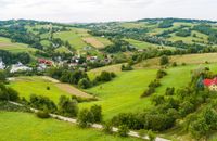 Zdjęcie ogłoszenia -  