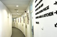 Zdjęcie ogłoszenia -  