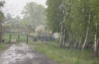 Zdjęcie ogłoszenia -  