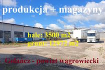 Zdjęcie ogłoszenia -  