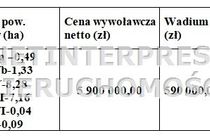Zdjęcie ogłoszenia -  