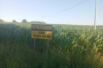 Zdjęcie ogłoszenia -  