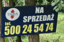 Zdjęcie ogłoszenia -  