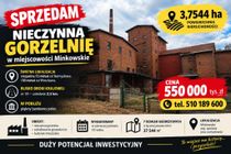 Zdjęcie ogłoszenia -  