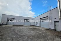 Zdjęcie ogłoszenia -  