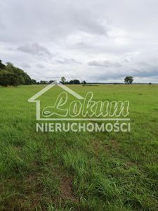  Zdjęcie oferty 