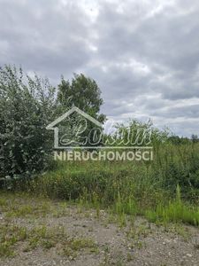  Zdjęcie oferty 