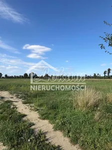  Zdjęcie oferty 