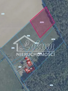 Zdjęcie oferty