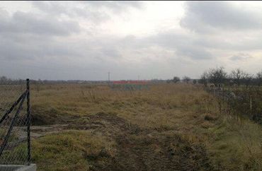 6203373 - zdjęcie ogłoszenia