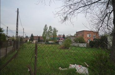 6203940 - zdjęcie ogłoszenia
