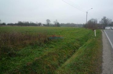 6702881 - zdjęcie ogłoszenia