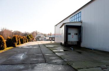 7218992 - zdjęcie ogłoszenia