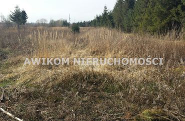 7268433 - zdjęcie ogłoszenia