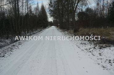 8087051 - zdjęcie ogłoszenia