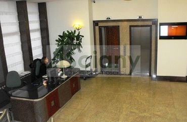 11608845 - zdjęcie ogłoszenia