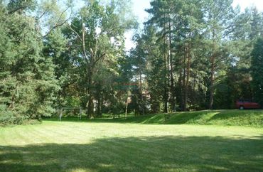 11843031 - zdjęcie ogłoszenia